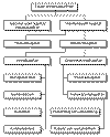 markv.gif (10003 byte)